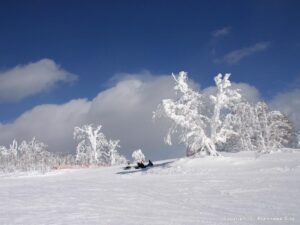 asahikawa_img08